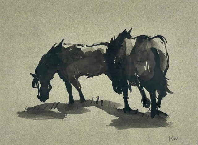 274711144 4673621036101009 3751966131856235163 n